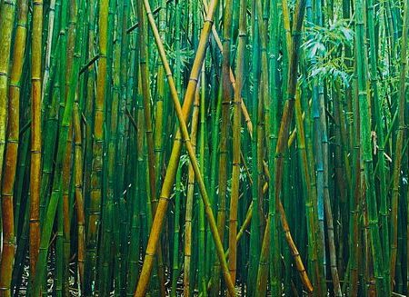 Peter Lik "Bamboo" Limited Edition Photograph