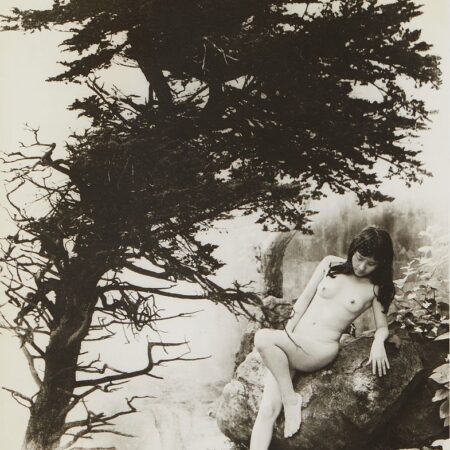 Chin San Long Photograph Nude with Tree Signed