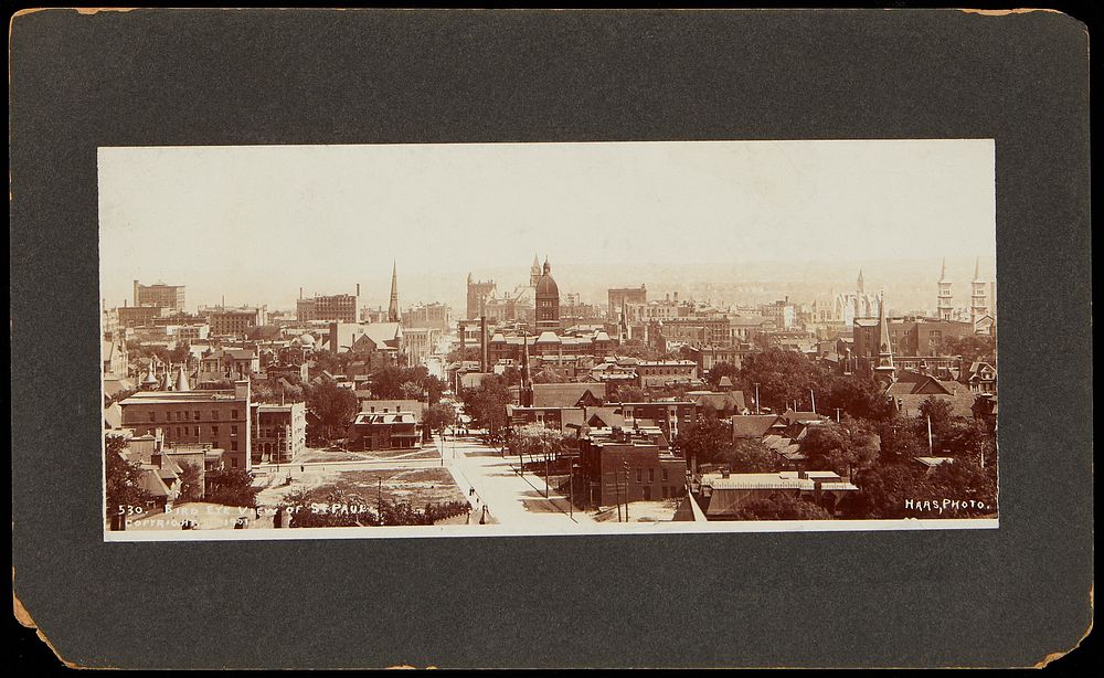 Birds-eye Photograph of St. Paul 1901