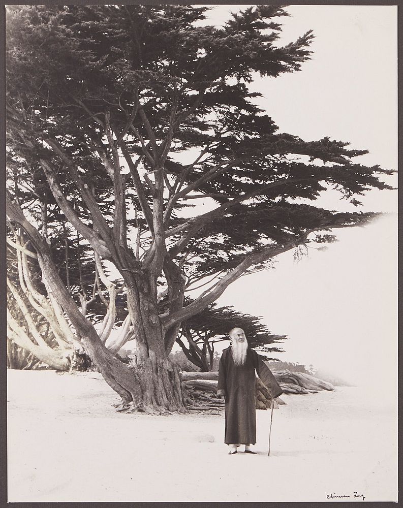 Chin San Long Photograph - Taking a Stroll