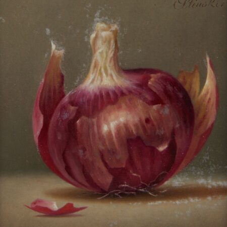 Gerald Stinski Painting Red Onion