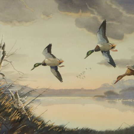 Les Kouba Wildlife Painting Ducks