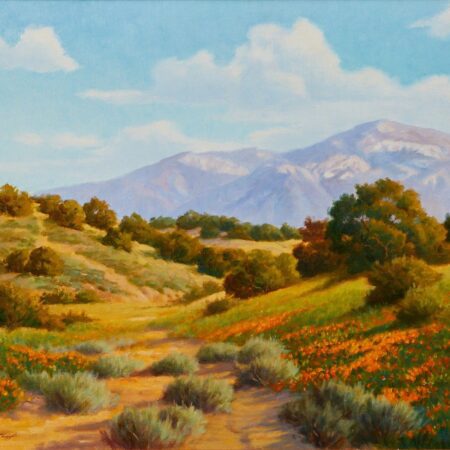 David Chapple "Canyon Poppies" Oil on Board