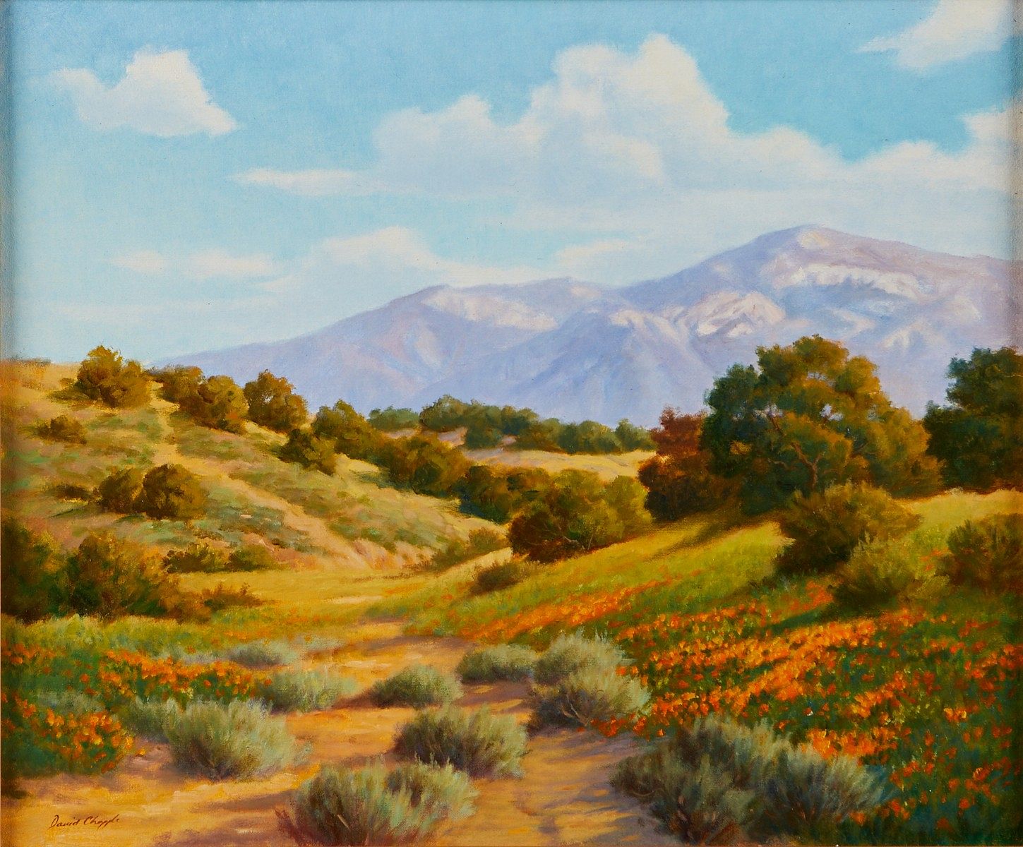 David Chapple "Canyon Poppies" Oil on Board