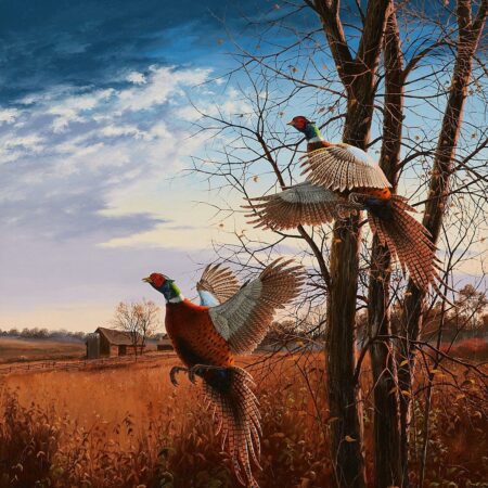 David Maass "Evening Flight - Pheasants" Painting