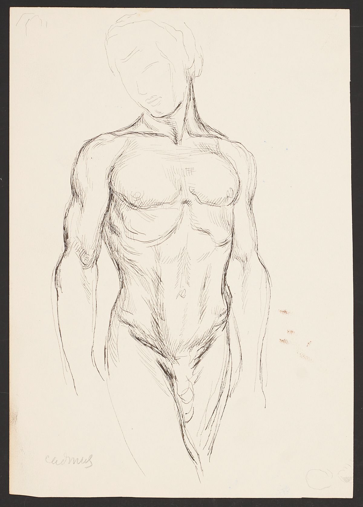 Paul Cadmus Male Nude Torso Ink on Paper