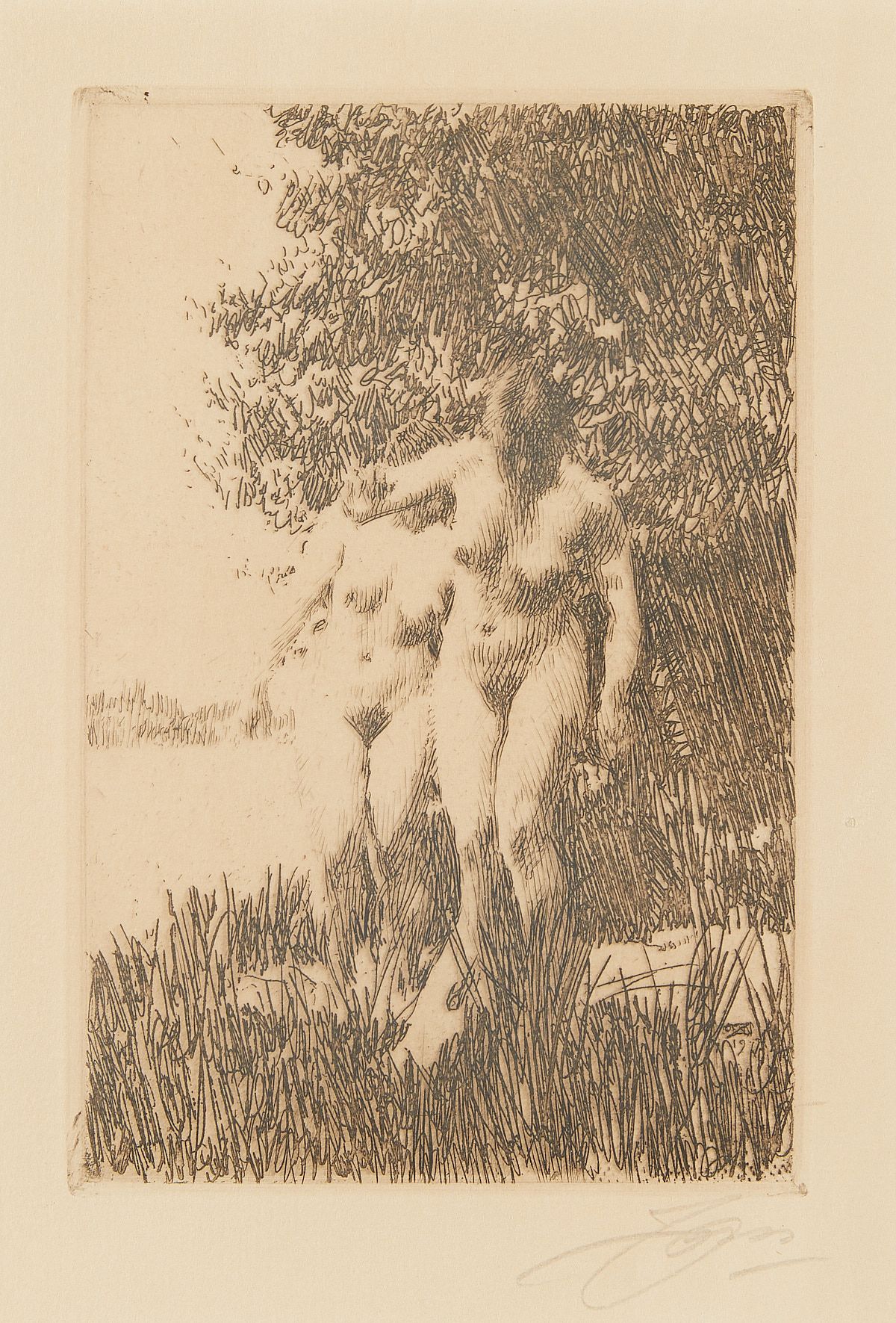 Anders Zorn "Alder" Etching 1917