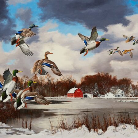 David Maass "Season's End: Mallards" Painting