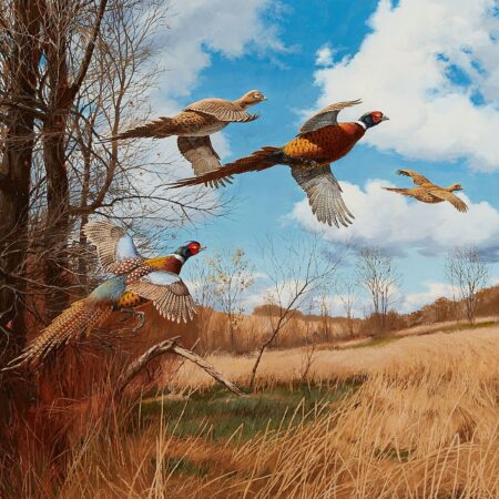 David Maass "Tomahawk Trail: Pheasants" Painting