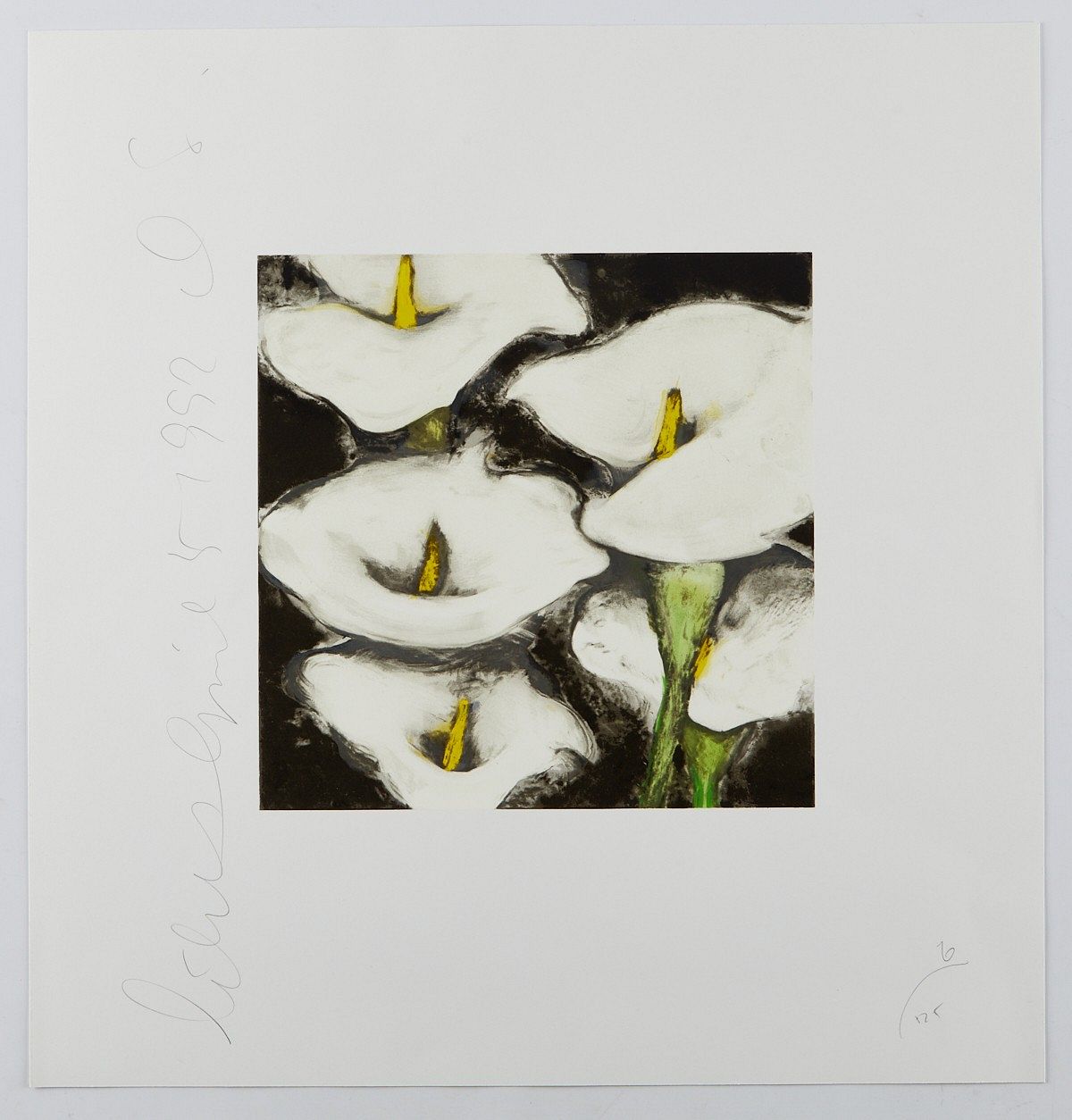 Donald Sultan Lilies Serigraph