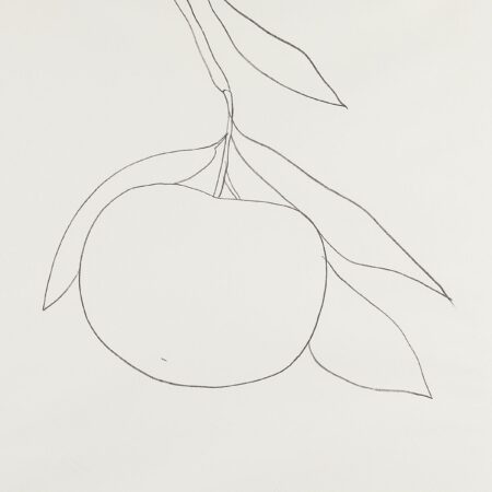 Ellsworth Kelly Grapefruit Lithograph 1965-66