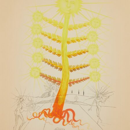 Salvador Dali "Helianthus Solifer" Flora Dalinae