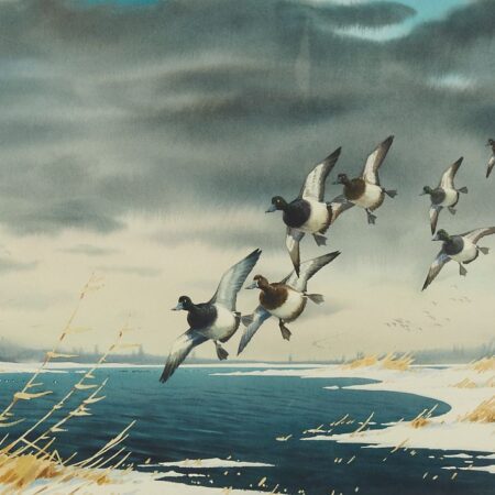 Les Kouba Flying Ducks Watercolor