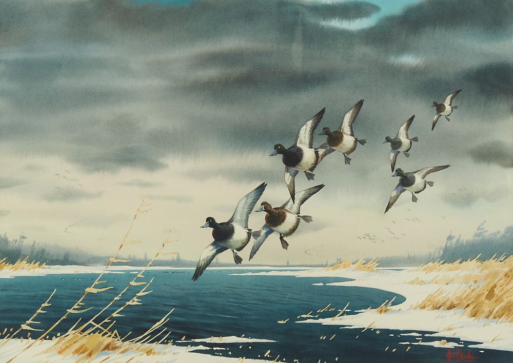 Les Kouba Flying Ducks Watercolor