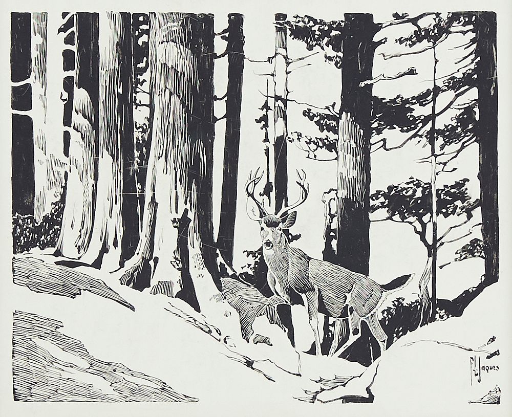 Francis Lee Jacques Deer in Woods Scratchboard