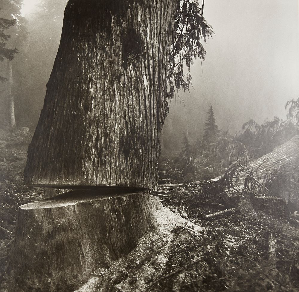 Larry Fink "Loggers" Photograph