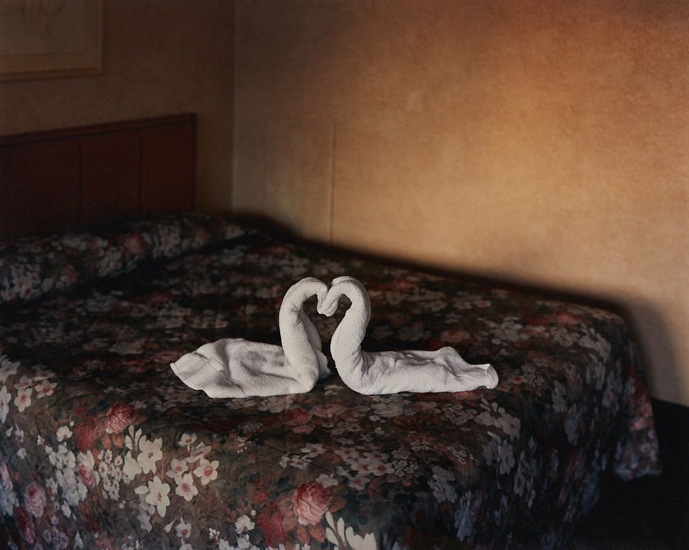 Alec Soth "Two Towels" Photograph "Niagara"