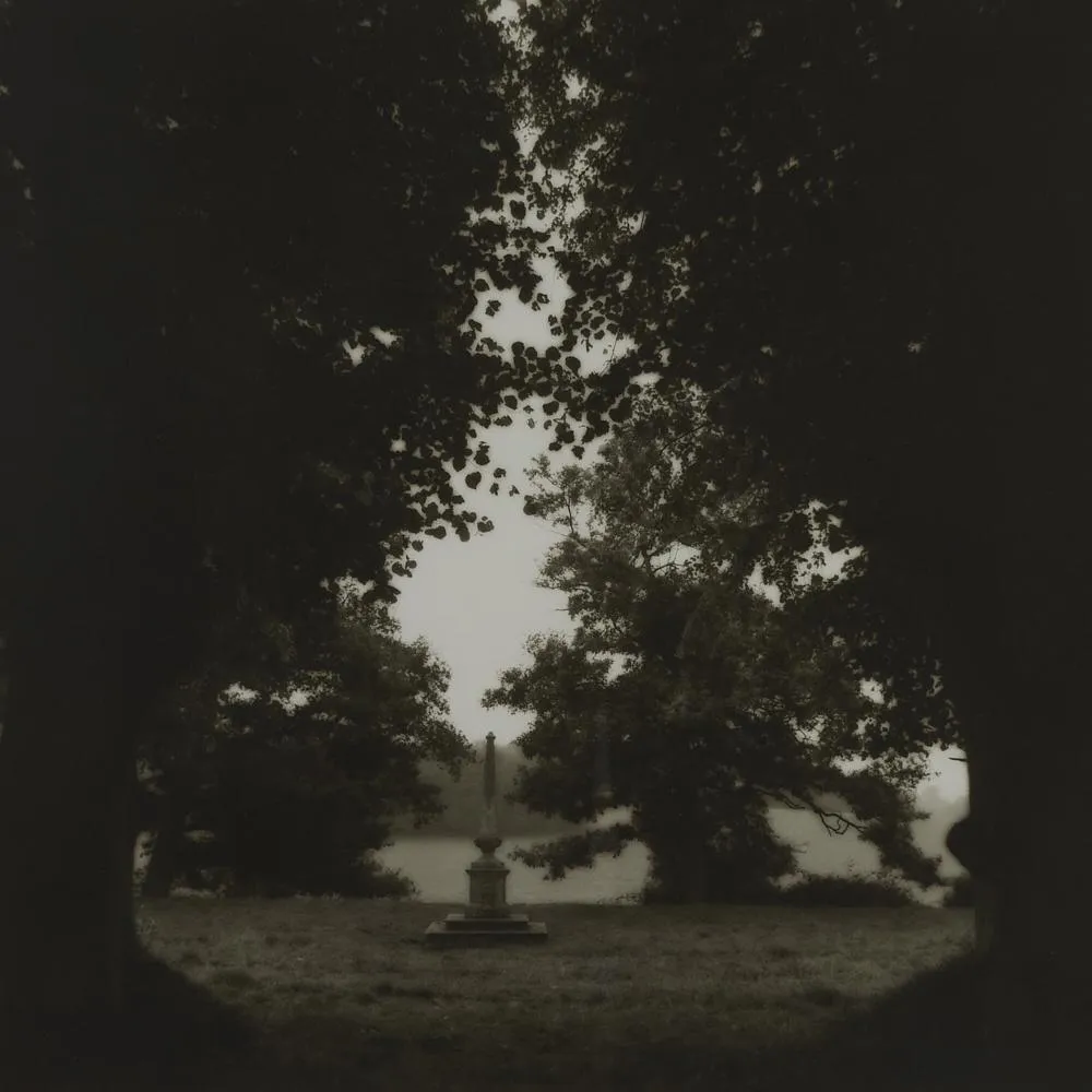 Lynn Geesaman Untitled Photograph