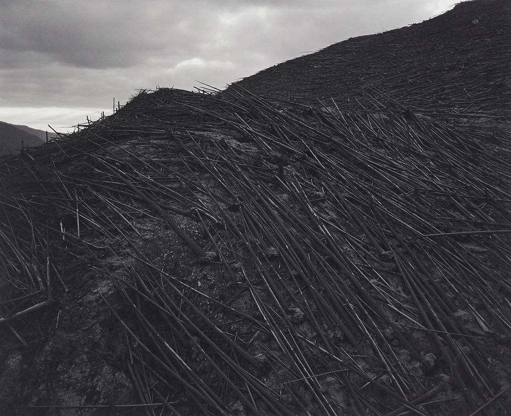 Frank Gohlke "Aerial View Downed Forest" Photograph