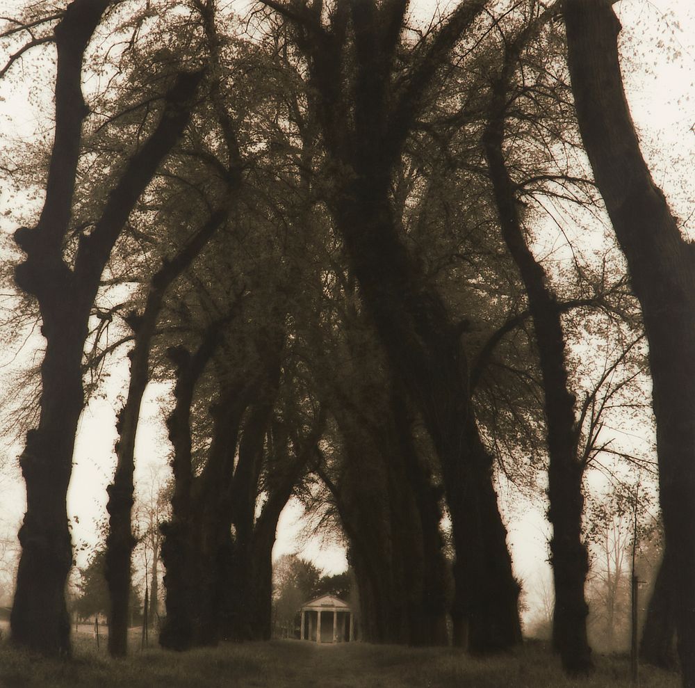 Lynn Geesaman "Parc de Canon France from Pocties of Place" Gelatin Print 1995