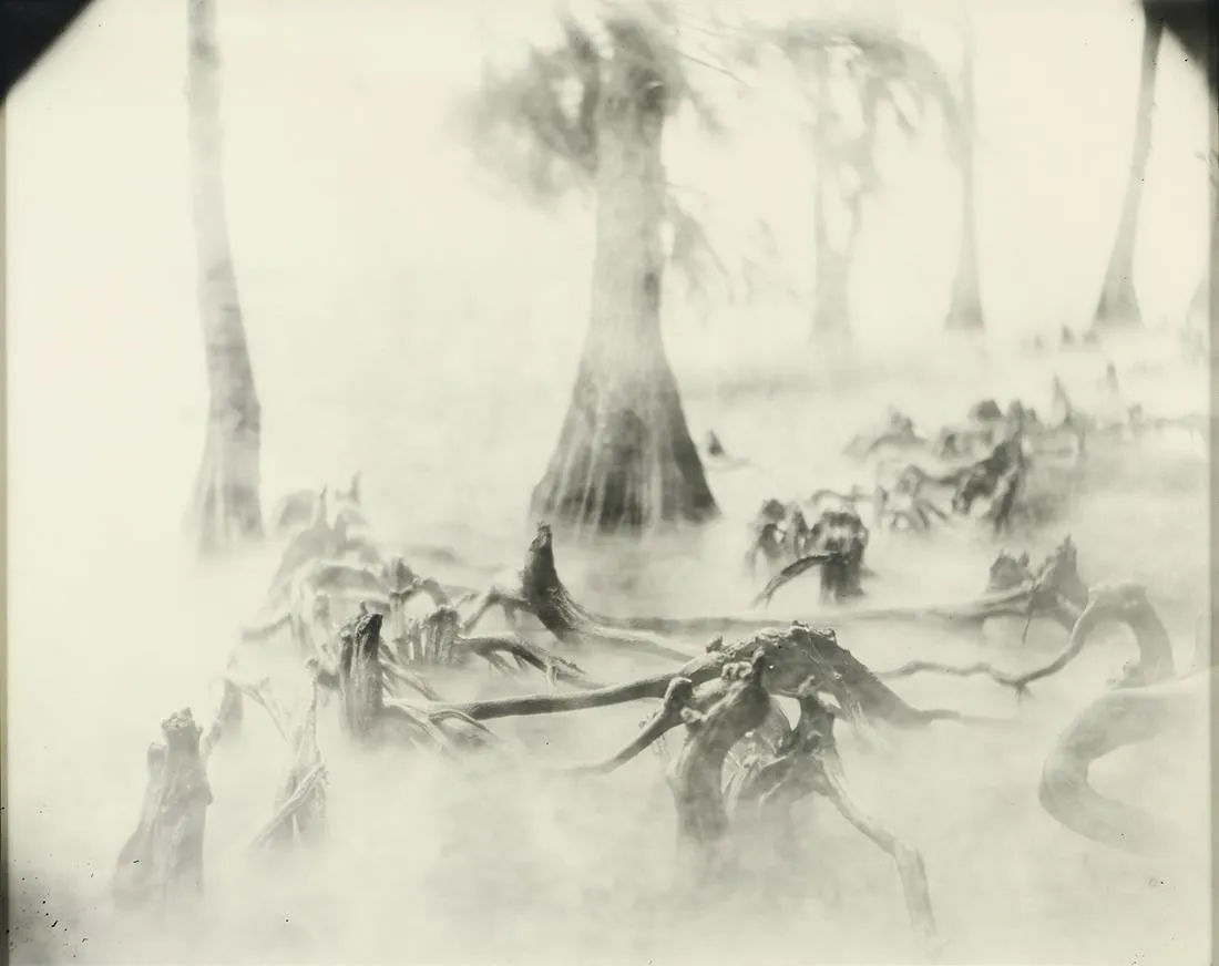 Sally Mann "Untitled/Deep South #30" Photograph