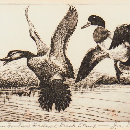 Jay Norwood Darling First Federal Duck Stamp & Etching