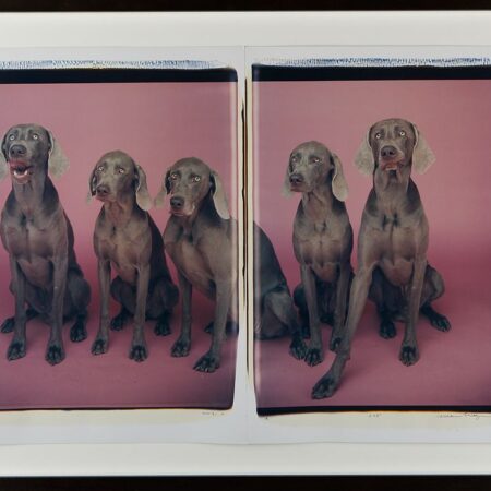 William Wegman "3=5" Dogs Photograph Diptych