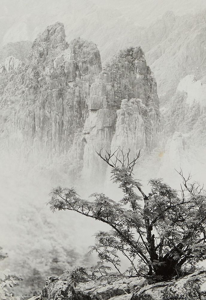 Chin San Long Photograph "Majestic Solitude"