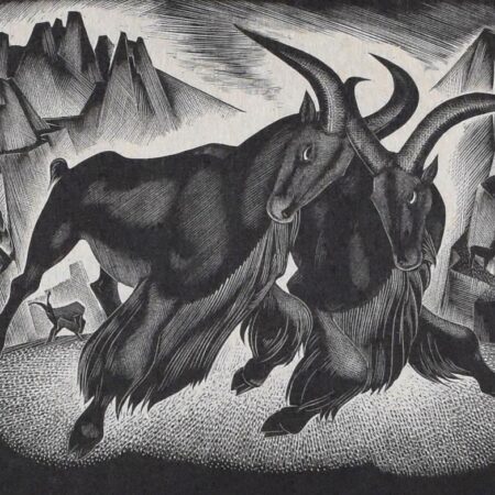 Agnes Miller Parker "Barbary Sheep" Wood Engraving