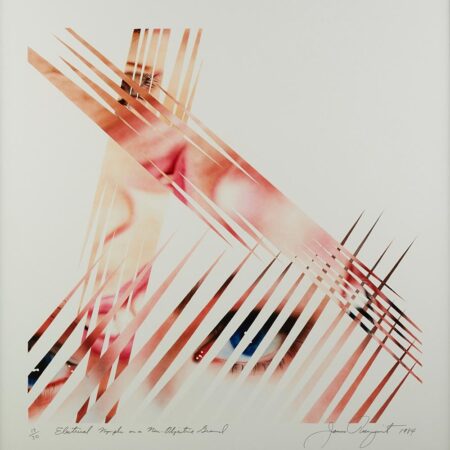 James Rosenquist Nymphs Lithograph (Glenn 203)