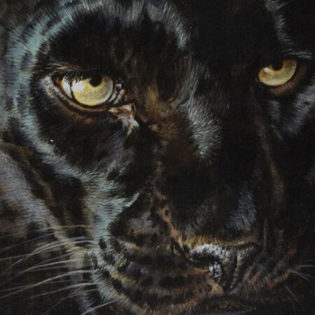 Guy Coheleach Panther Painting Oil on Board